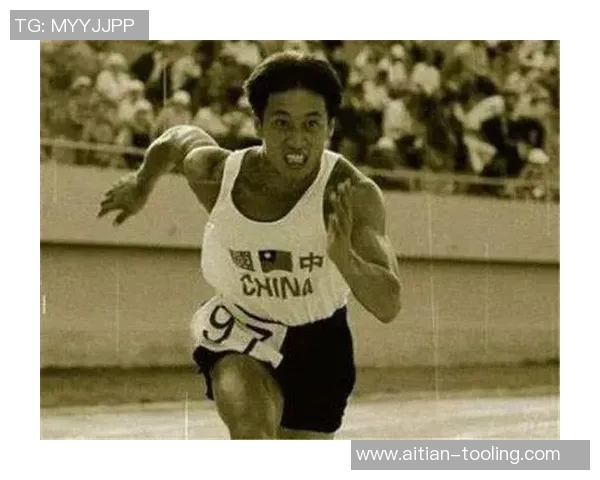 日本体育明星排名前十揭晓他们的成就与影响力分析