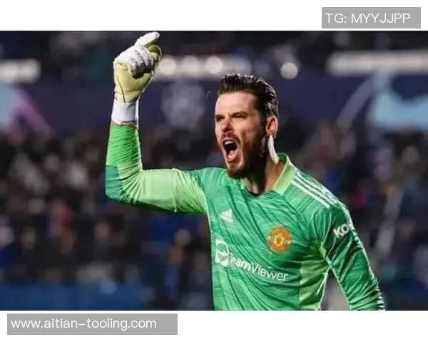 中国帅帅的足球明星们展现魅力与实力的精彩瞬间与成长故事